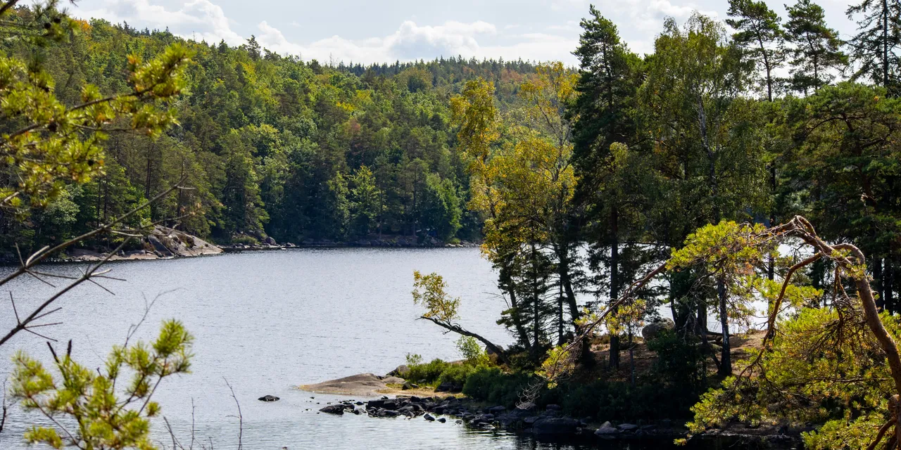Vänern, fiskevatten